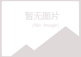 龙山区曹培服务有限公司